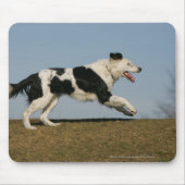 Tapis De Souris Border collie courant 2 (Devant)