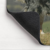 Tapis De Souris Border collie haletant 2 (Coin)