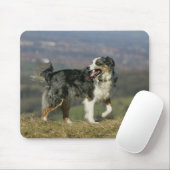 Tapis De Souris Border collie haletant 2 (Avec souris)