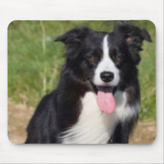 Tapis De Souris Border collie Mousepad