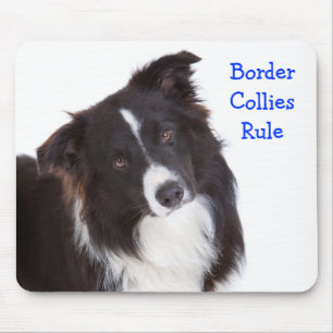 Tapis de souris Border Collie règne
