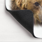 Tapis De Souris Bordure blanche grizzli (Coin)