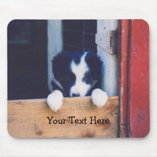Tapis De Souris Bordure Collie Chien Chien Chien Chien Chien Chien (Devant)