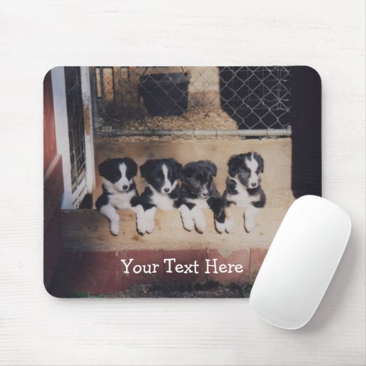 Tapis De Souris Bordure Collie Chien Chien Chien Mousepad (Avec souris)