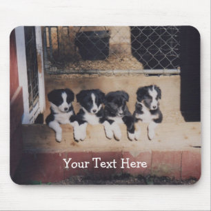 Tapis De Souris Bordure Collie Chien Chien Chien Mousepad