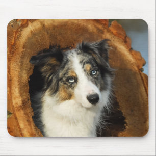 Tapis De Souris Bordure Collie joli portrait de chien