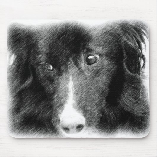 Tapis De Souris Bordure noire Collie Art animal (Devant)