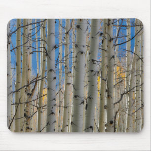 Tapis De Souris Bosquets de trembles Montagnes Rocheuses du Colo