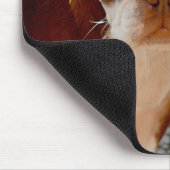 Tapis De Souris Boston Terrier (Coin)
