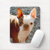 Tapis De Souris Boston Terrier (Avec souris)