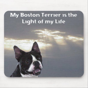 Tapis De Souris Boston Terrier : Lumière de ma vie