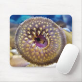 Tapis De Souris Bouche de lamproie marine (Avec souris)