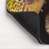 Tapis De Souris Bouche d'un Yellowedge (Coin)