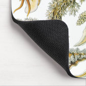 Tapis De Souris Boues de mer par Ernst Haeckel, Nudibranchia Vinta (Coin)