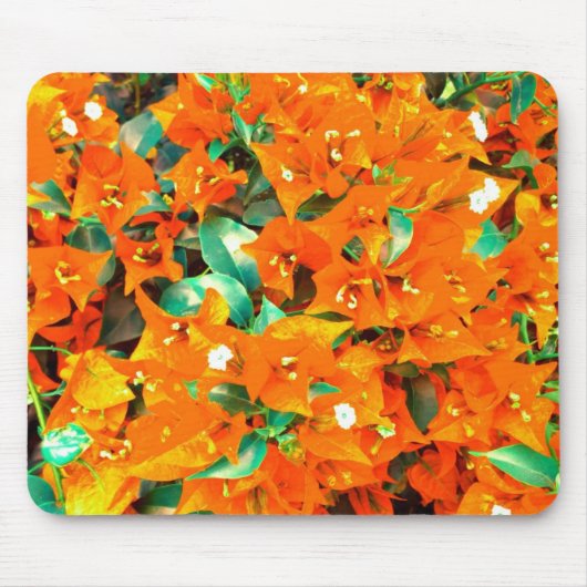 Tapis De Souris Bougainvilliers orange vif (Devant)