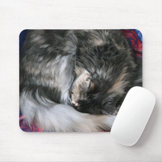 Tapis De Souris Bouge Kitty Chat (Avec souris)