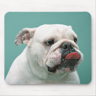 Tapis De Souris Bouledogue