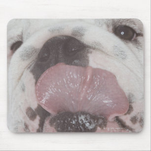 Tapis De Souris Bouledogue 2