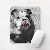 Tapis De Souris bouledogue anglais (Avec souris)