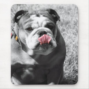 Tapis De Souris bouledogue anglais