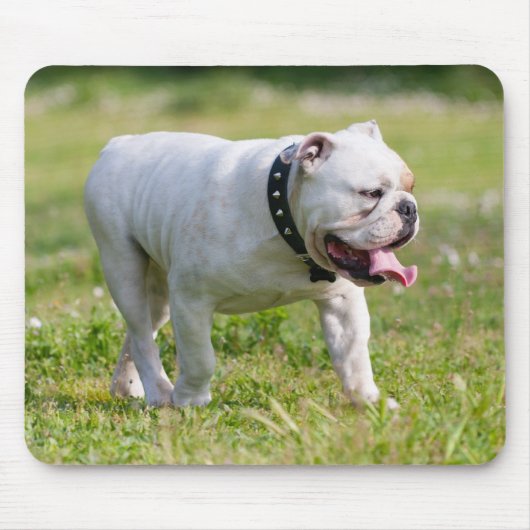 Tapis De Souris Bouledogue anglais (Devant)