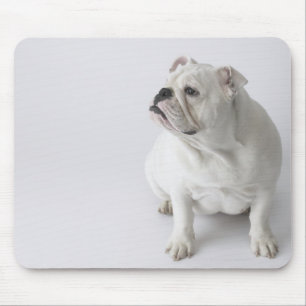 Tapis De Souris Bouledogue anglais blanc