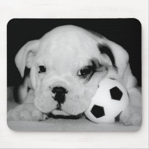 Tapis De Souris Bouledogue anglais "de chiot du football"