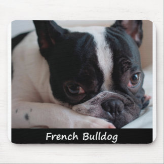 Tapis De Souris Bouledogue français