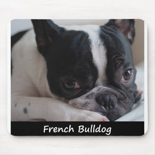Tapis De Souris Bouledogue français (Devant)
