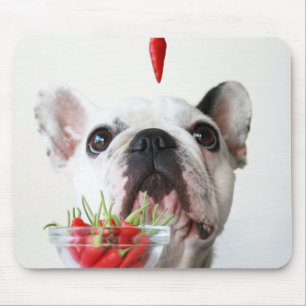 Tapis De Souris Bouledogue français regardant un poivron rouge