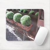 Tapis De Souris Boules de topiaire (Avec souris)