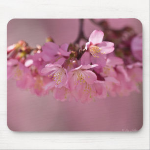 Tapis De Souris Bouquet délicat de fleurs de cerisier Sakura rose