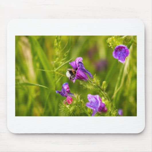 Tapis De Souris Bourdon en fleurs (Devant)
