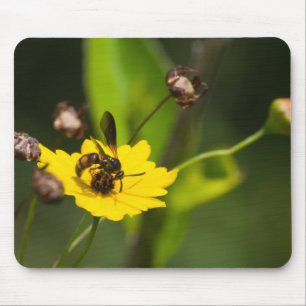 Tapis De Souris Bourdonnement