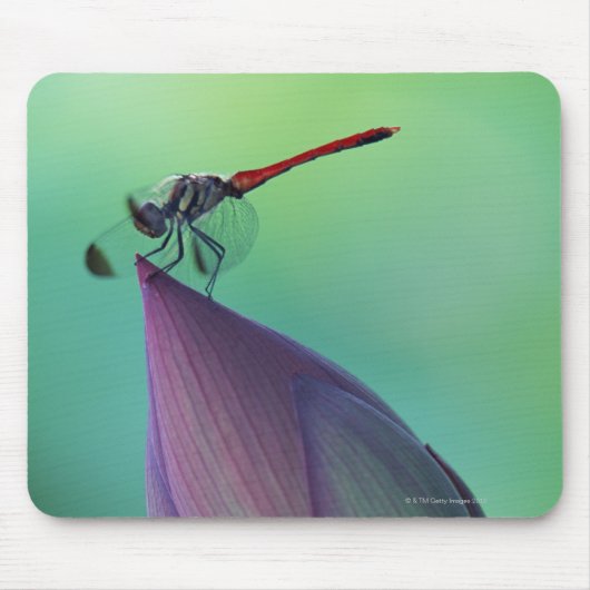 Tapis De Souris Bourgeon de lotus et libellule (Devant)