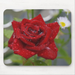 Tapis De Souris Bourgeon de rose rouge
