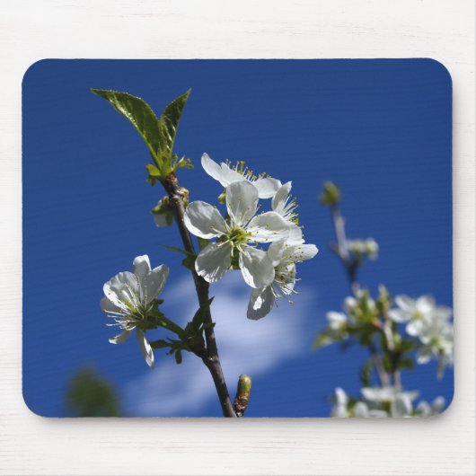 Tapis De Souris Bourgeons de ressort (Devant)