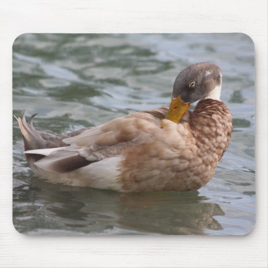 Tapis De Souris Bousepée de canard (Devant)