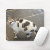 Tapis De Souris Bousepée de chat (Avec souris)