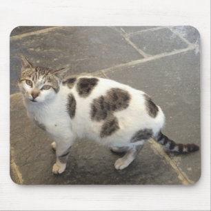 Tapis De Souris Bousepée de chat