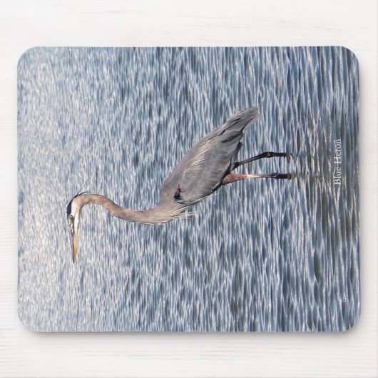 Tapis De Souris Bousepée d'eau de Blue Heron (Devant)