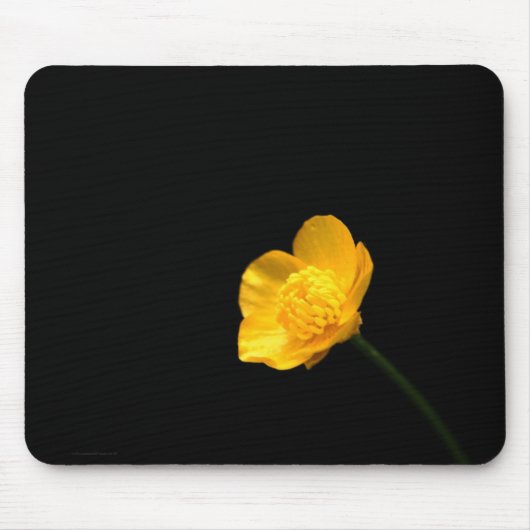 Tapis De Souris Bouteille Fleur mpcnm (Devant)