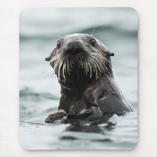 Tapis De Souris Bouton (Devant)