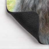 Tapis De Souris Bouvier des Flandres (Coin)