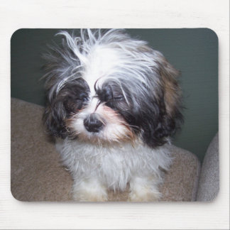 Tapis De Souris Bowie le chiot brouillé 2 Mousepad de Shih Tzu