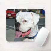 Tapis De Souris Boxe blanche (Avec souris)