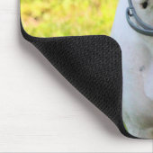 Tapis De Souris Boxer (Coin)