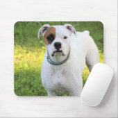 Tapis De Souris Boxer (Avec souris)