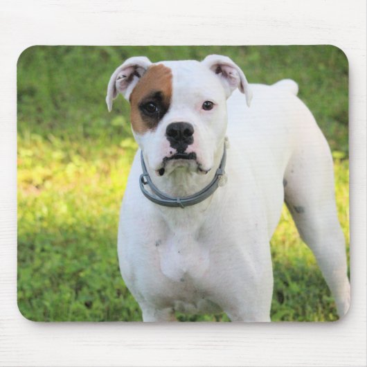 Tapis De Souris Boxer (Devant)