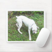 Tapis De Souris Boxer chiot blanc complet (Avec souris)